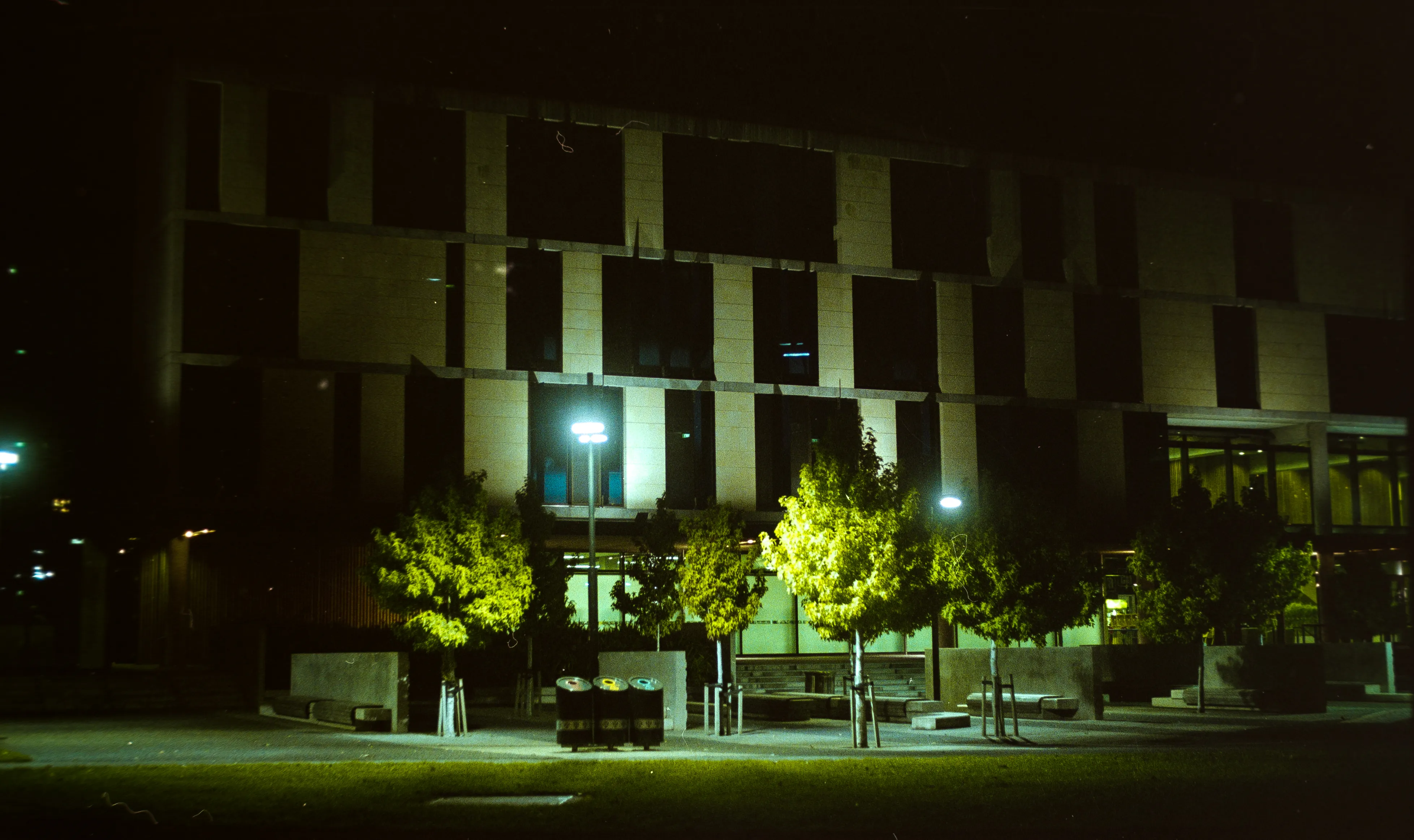 The building on the end of the Forsyth Barr Stadium at night. There are trees in the foreground lit by strong LED street lights and the image has a visible film grain.