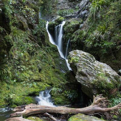 Water Damaged, Crystal Falls