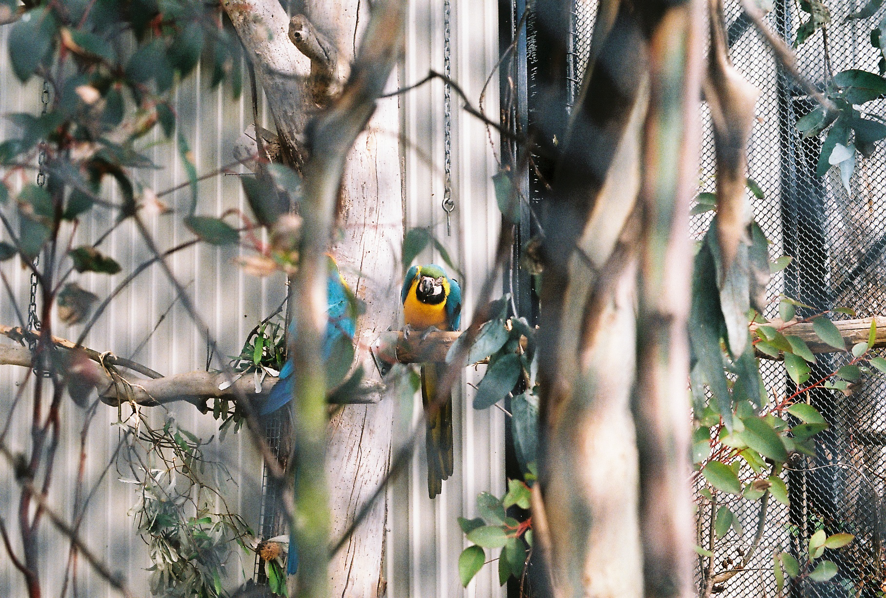 Polly? II,  Botanical Gardens