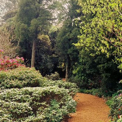 Serenity, Botanical Gardens