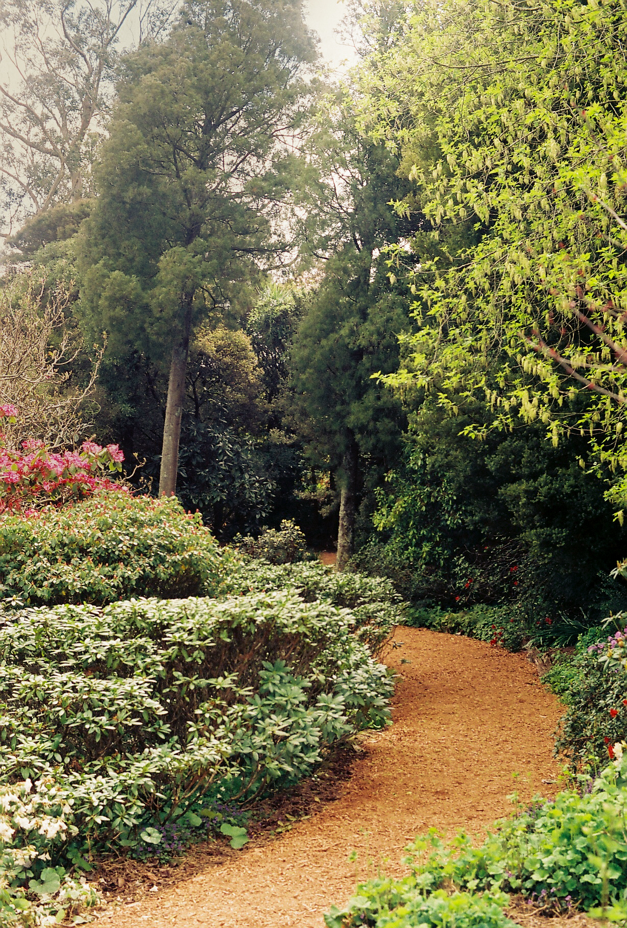 Serenity, Botanical Gardens