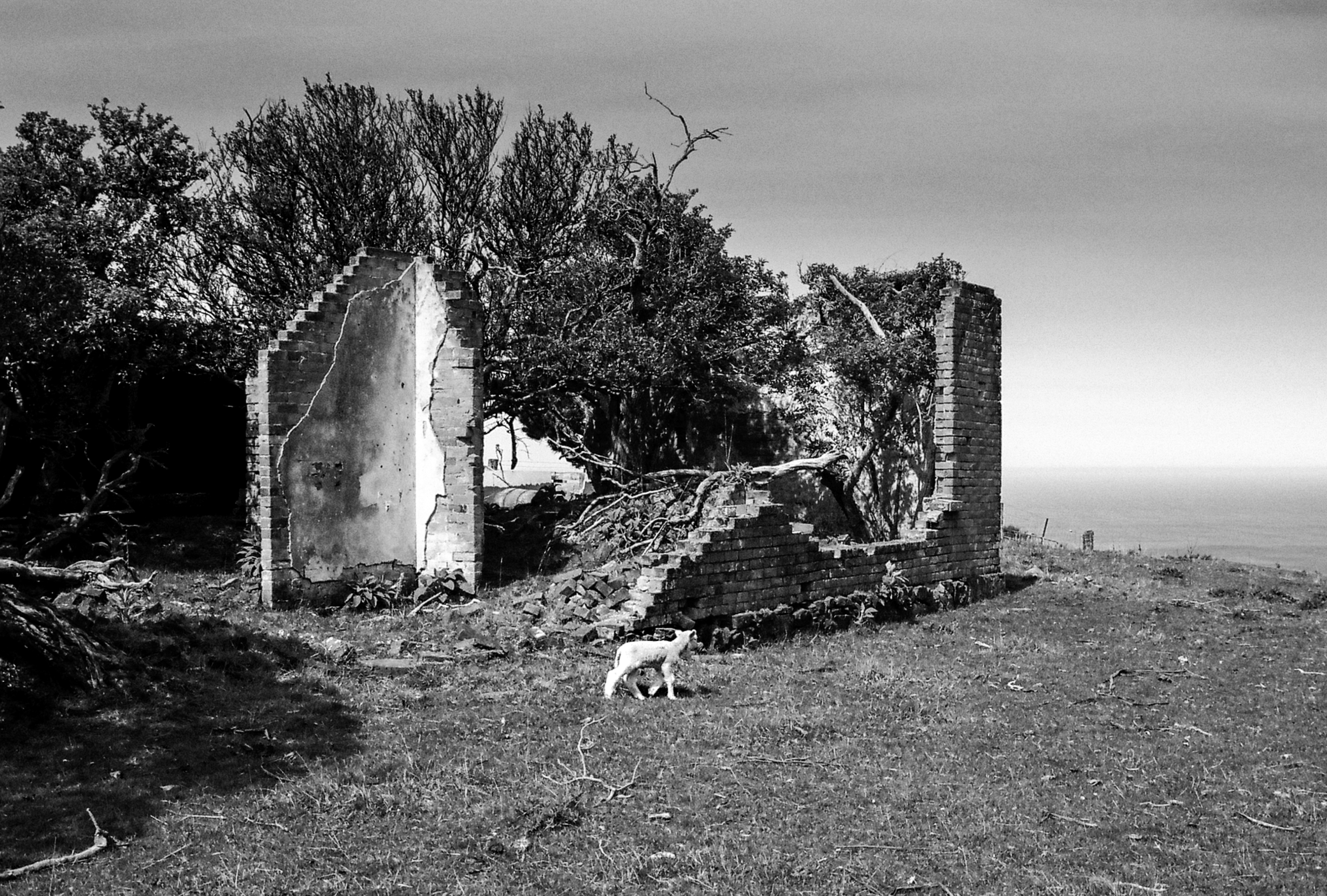 Derelict Lamb, Paradise Track