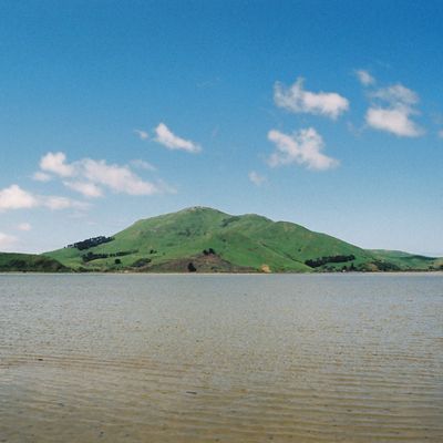 Shed, Hoopers Inlet