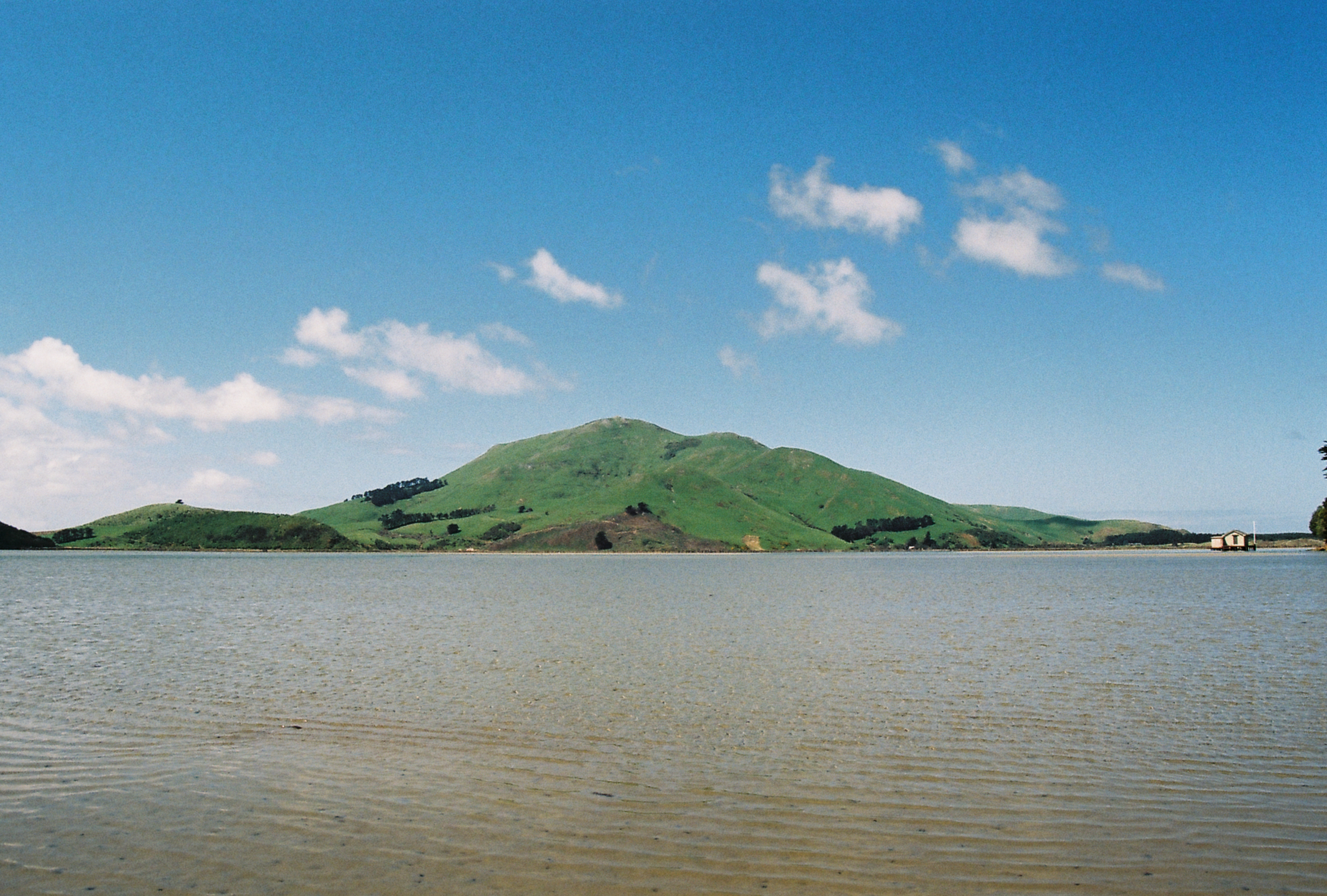 Shed, Hoopers Inlet