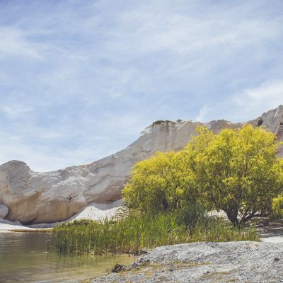 Tree of Life I, Blue Lake