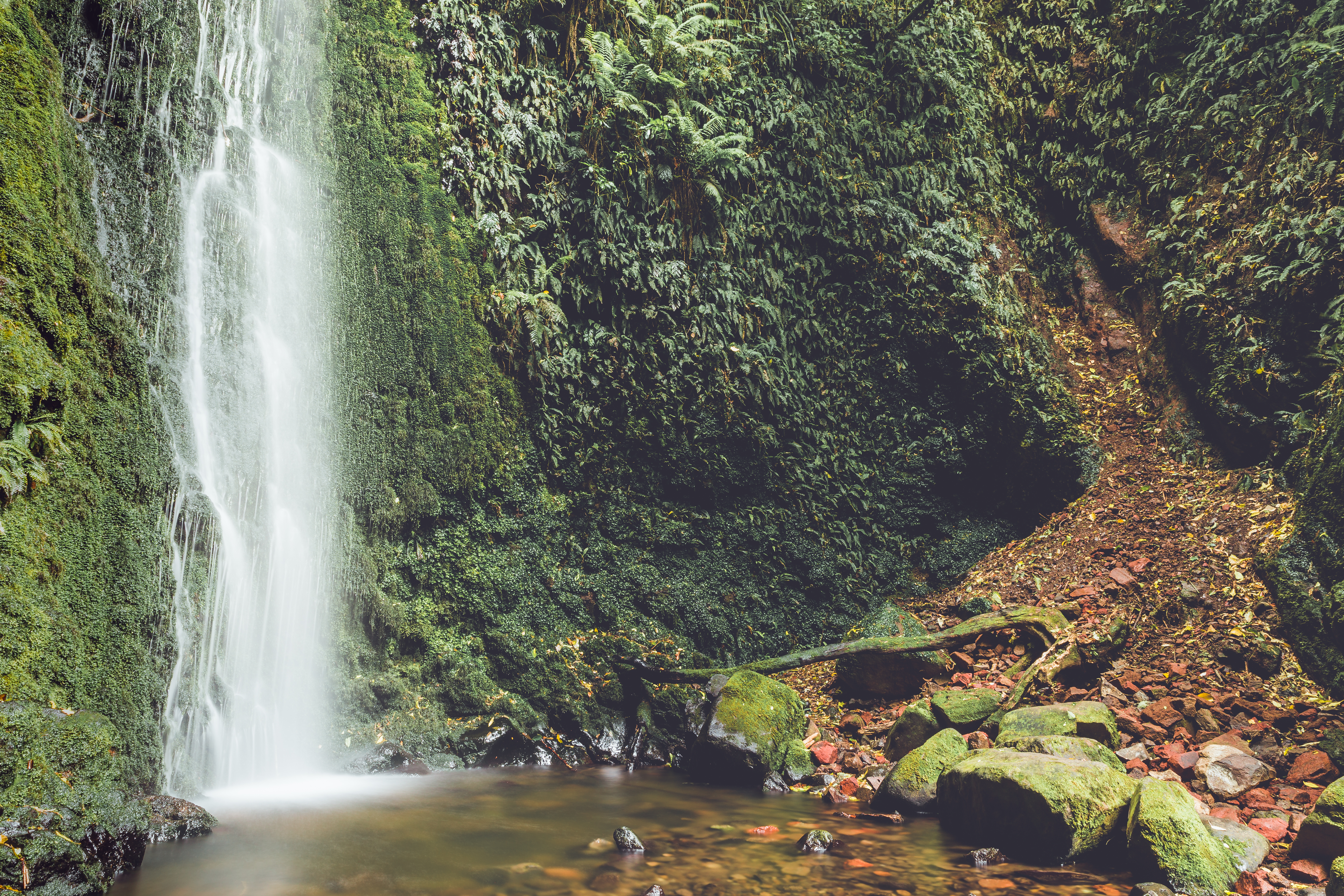 Nicols Falls, Ōtepoti 