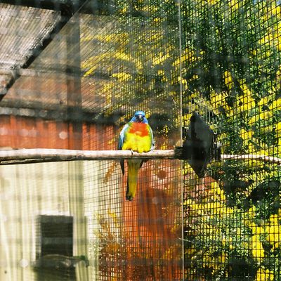 Polly? I, Botanic Gardens