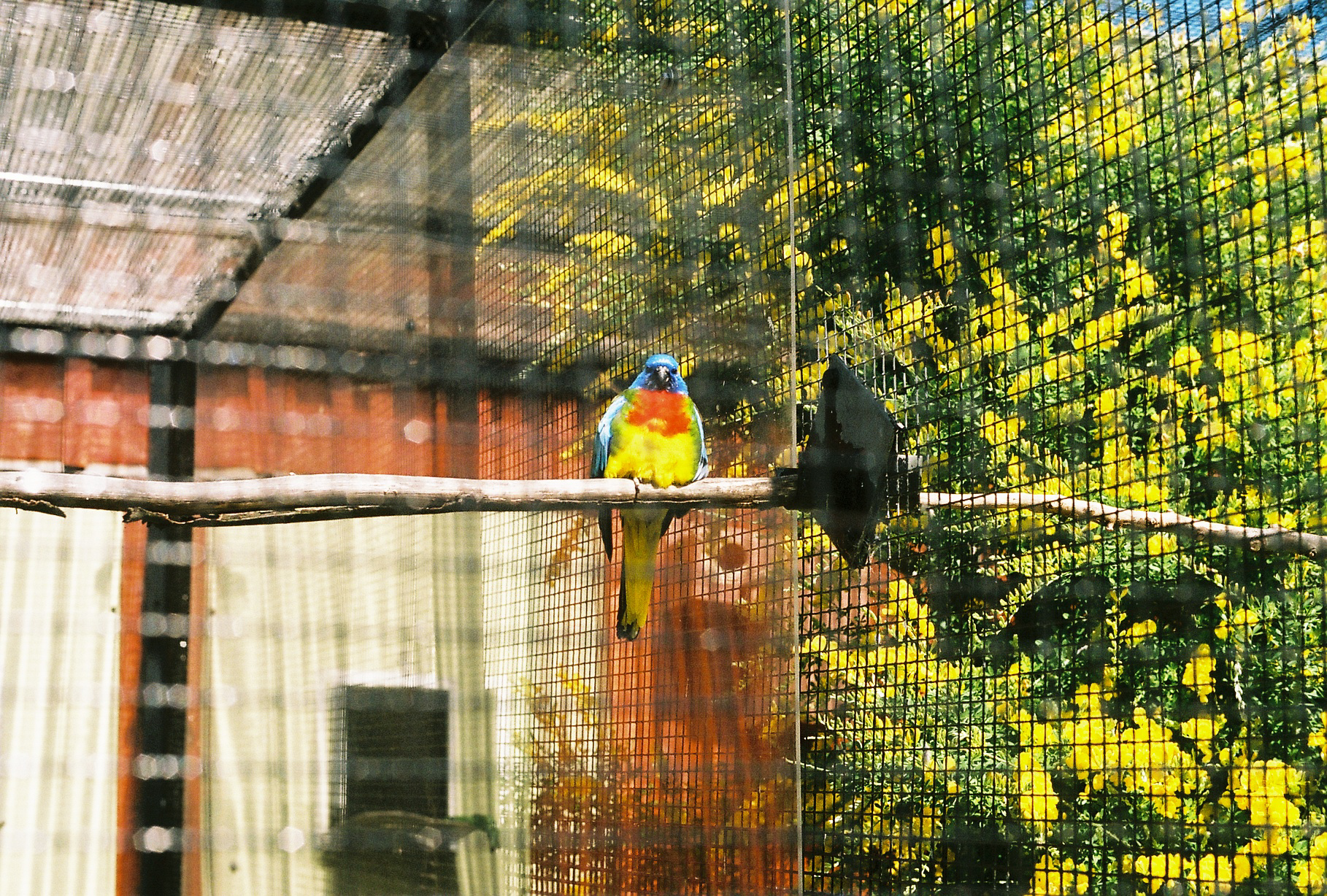 Polly? I, Botanic Gardens