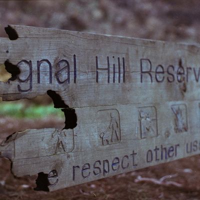 Respect Other Users, Signal Hill