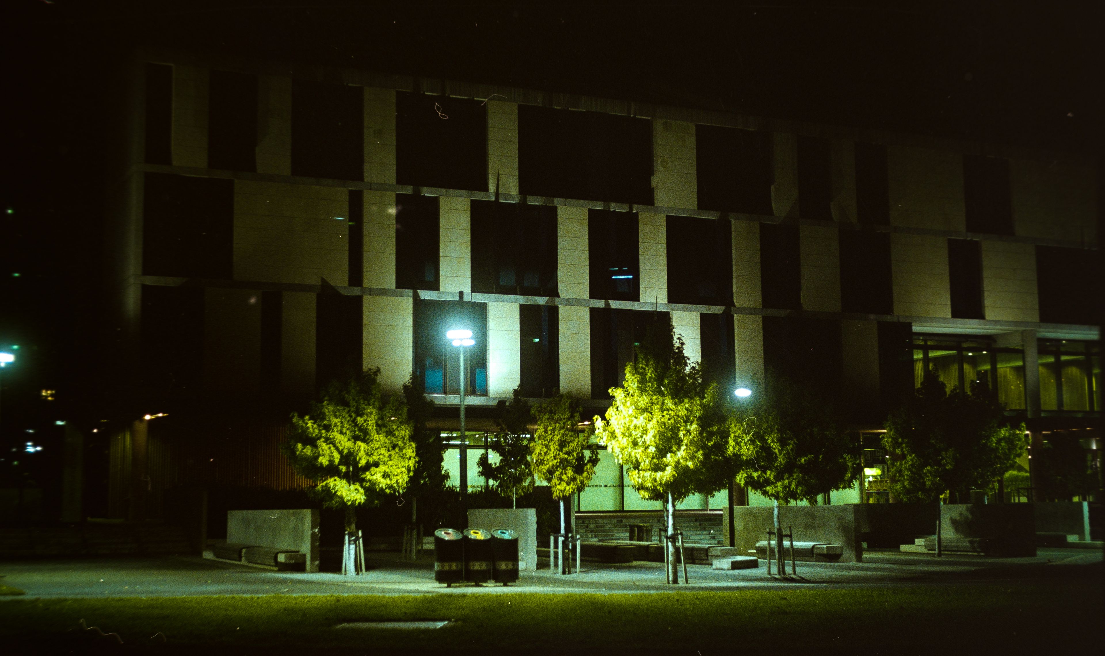 The building on the end of the Forsyth Barr Stadium at night. There are trees in the foreground lit by strong LED street lights and the image has a visible film grain.