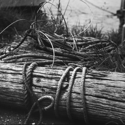 Bound, Taieri Mouth