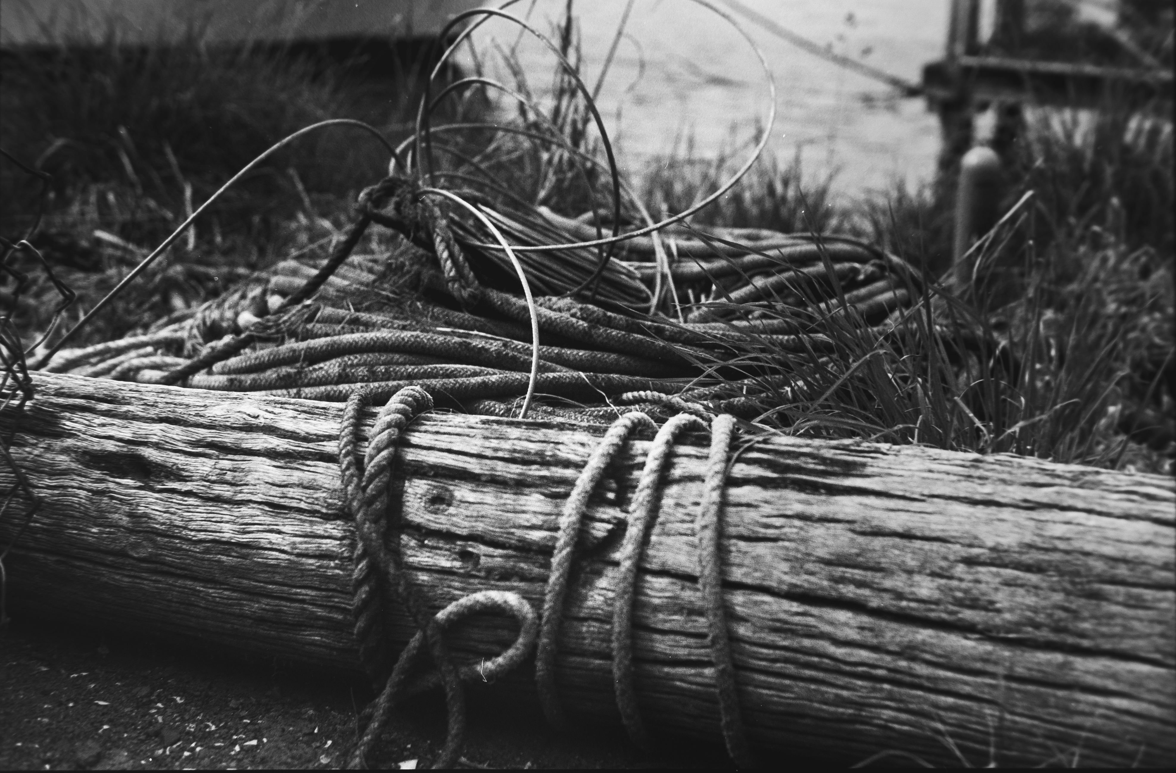 Bound, Taieri Mouth