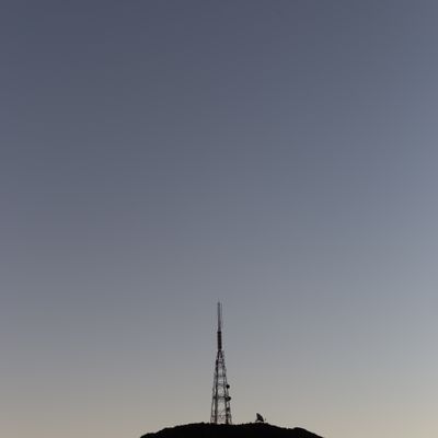 Dusk Signals, Signal Hill