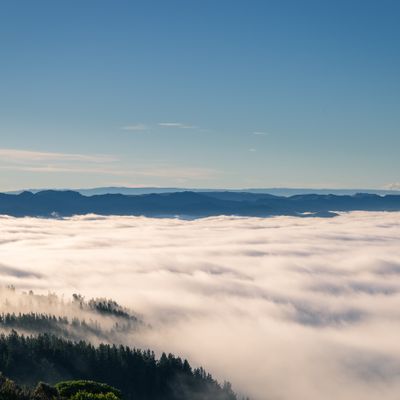 Cloud Tops, Mt Cargill