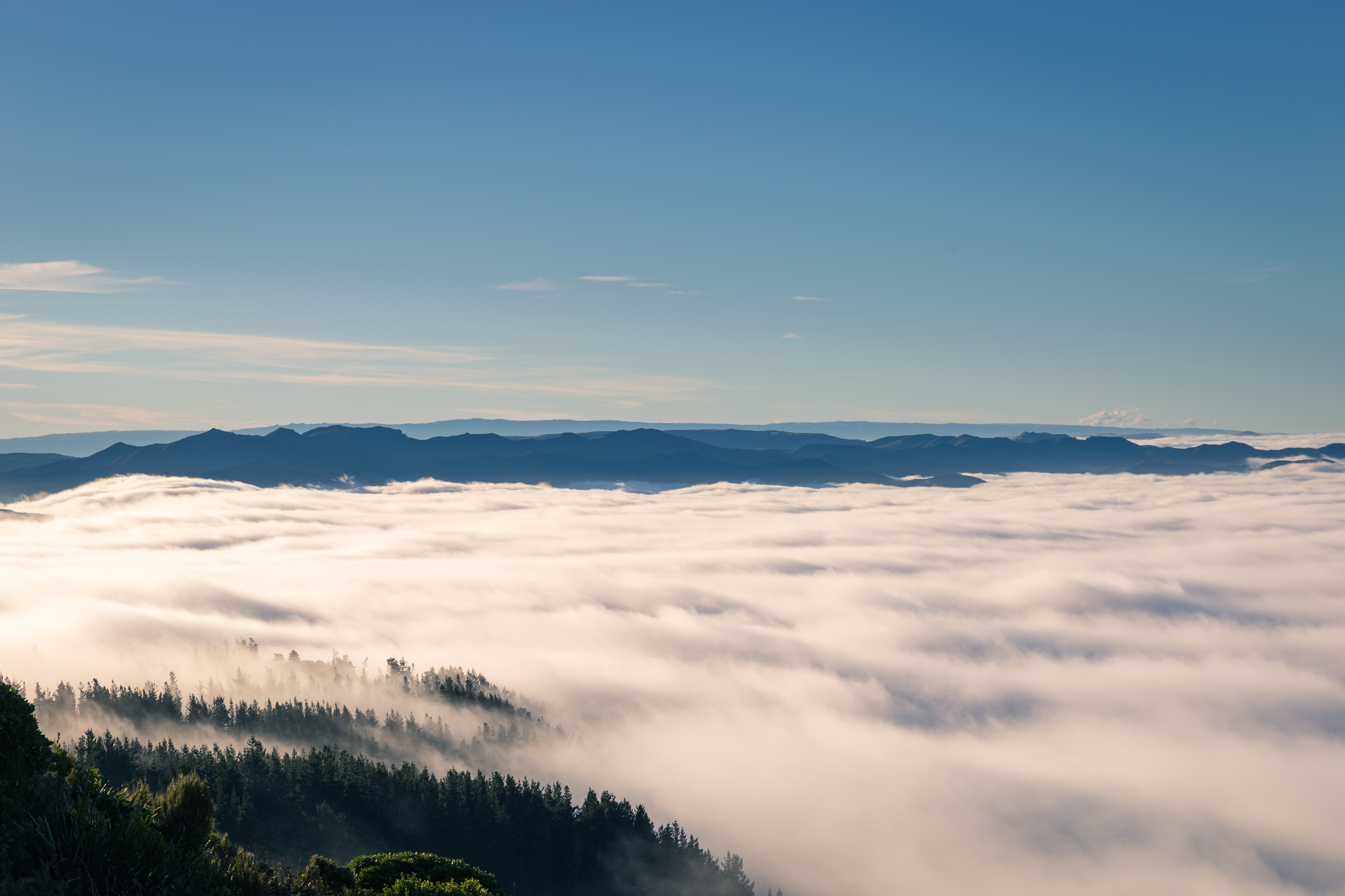 Cloud Tops, Mt Cargill