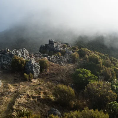 Butters Peak, Mt Cargill