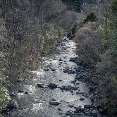 Creek Bed, Ōtepoti 