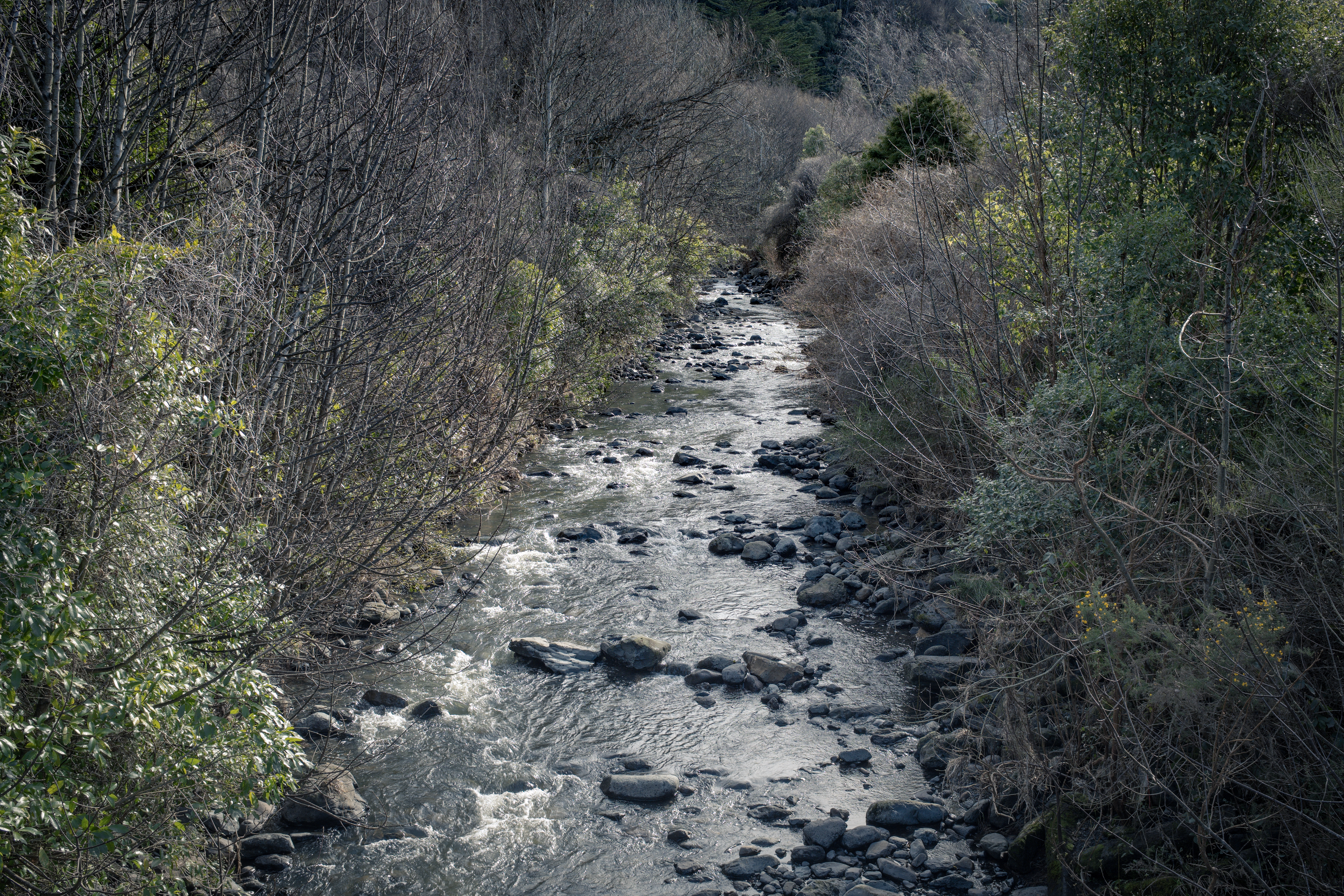 Creek Bed, Ōtepoti 