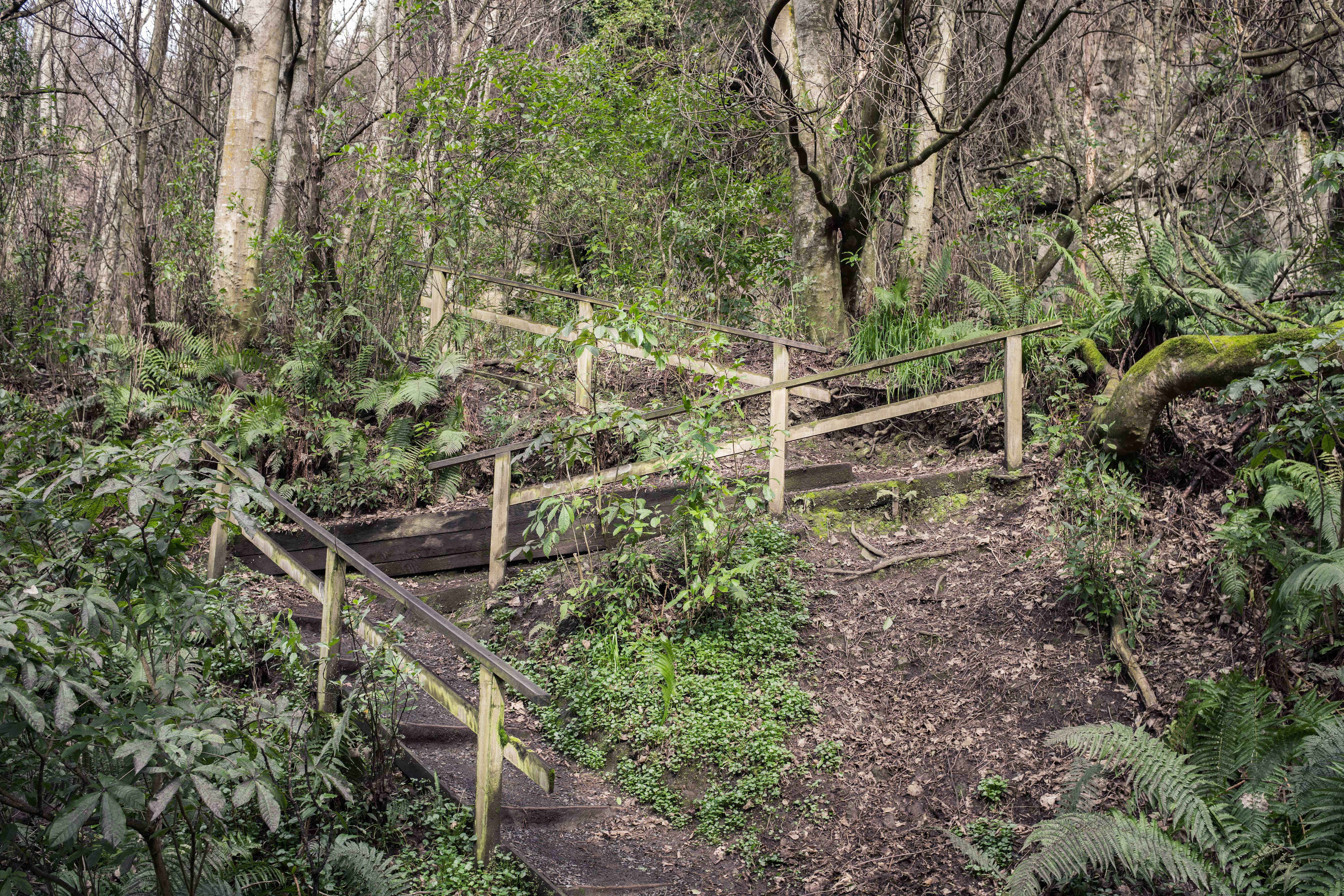 Zig-zag, Woodhaugh Gardens