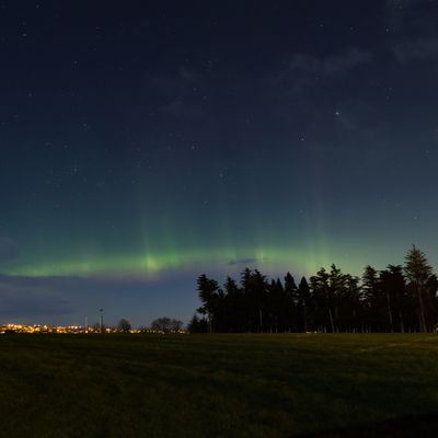 Aurora Australis, Opoho Park