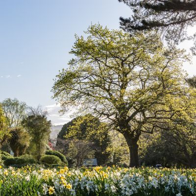 Spring, Botanical Gardens