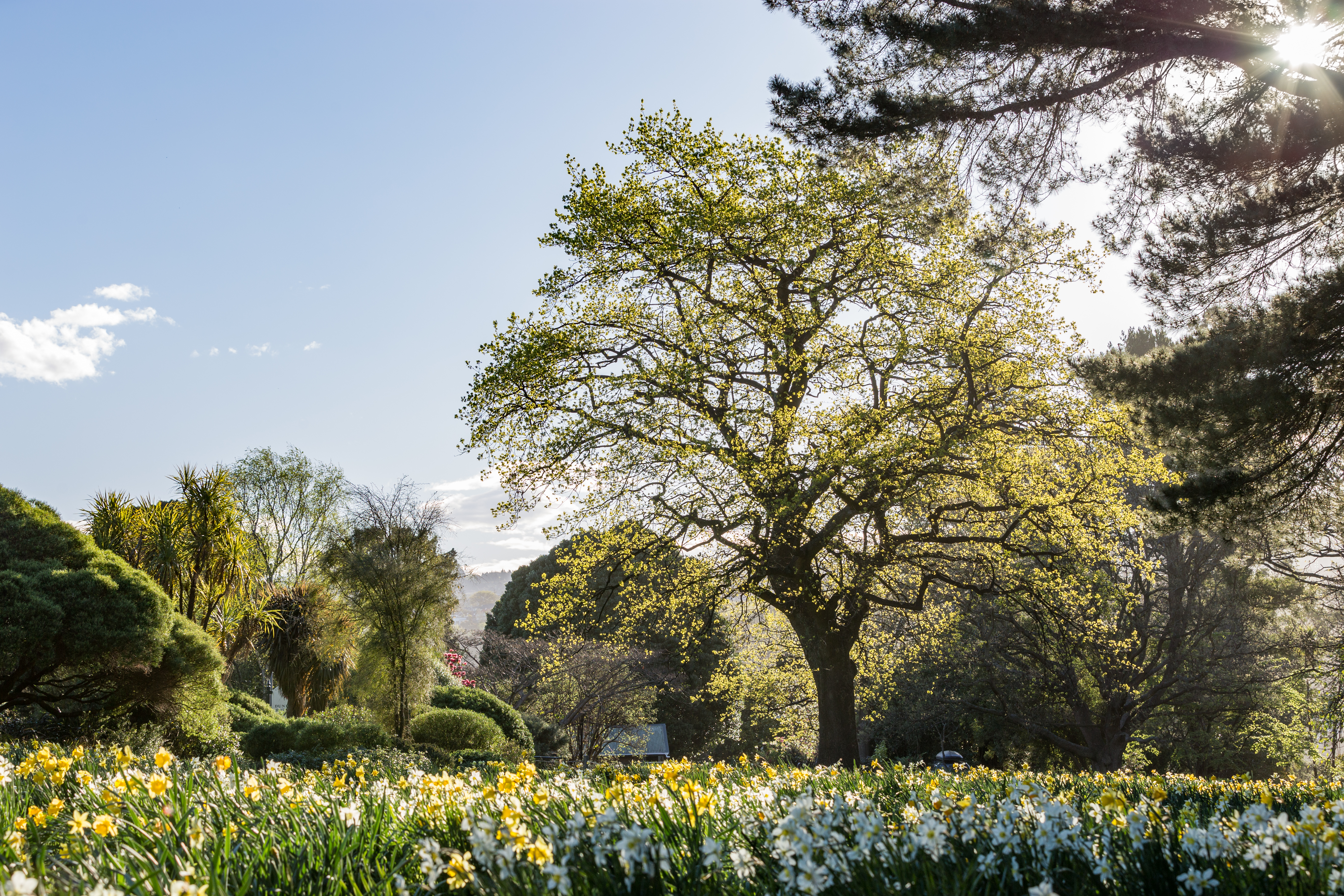 Spring, Botanical Gardens