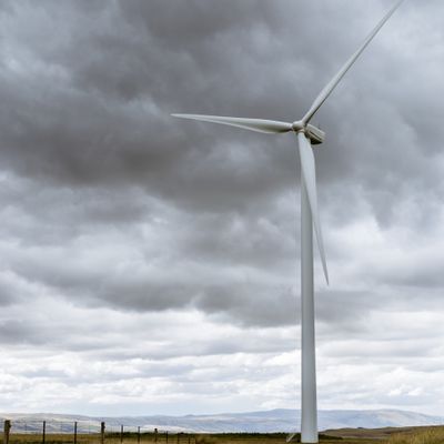 Turbines II, Mahinerangi Wind Farm