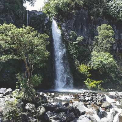 Dawson Falls, Mt Taranaki