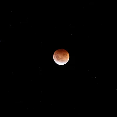 Blood Moon, Ōtepoti