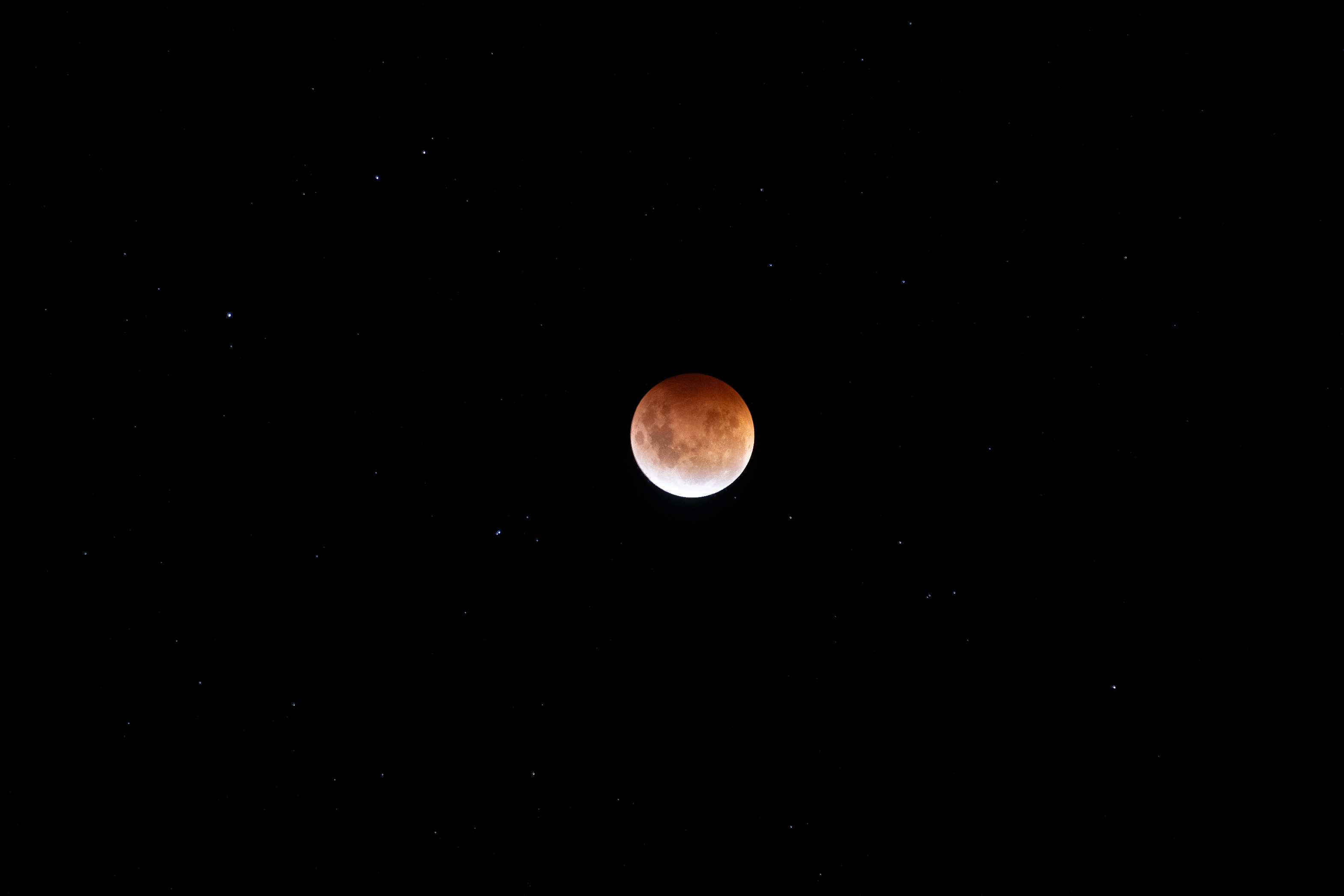 Blood Moon, Ōtepoti