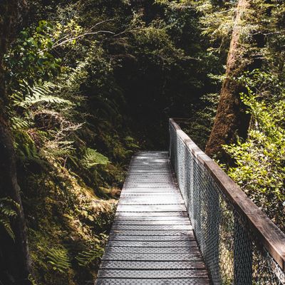 Boardwalk, Mt Aspiring