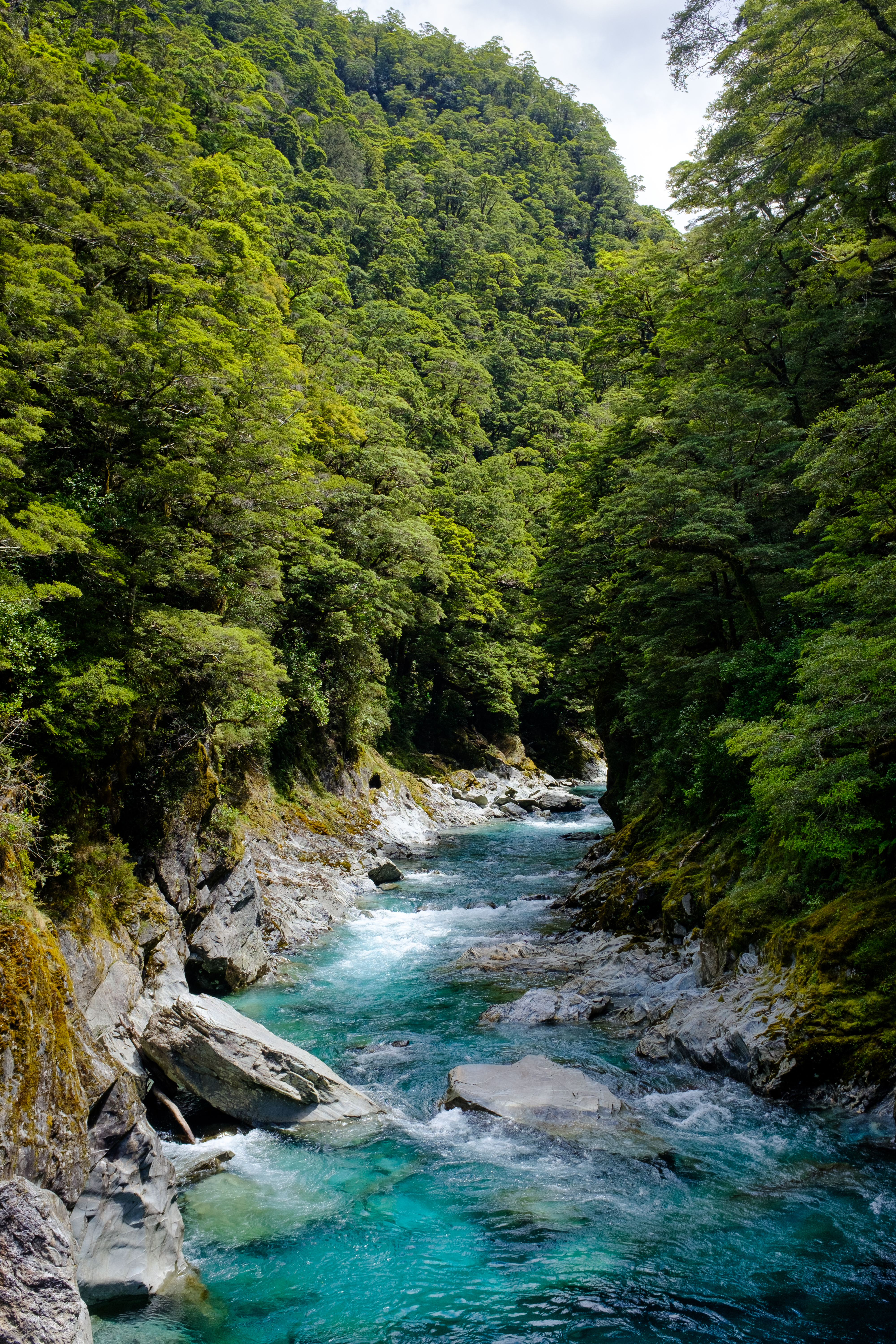 Blue Pools I, Mt Aspiring 