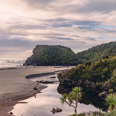 Ship Creek, West Coast