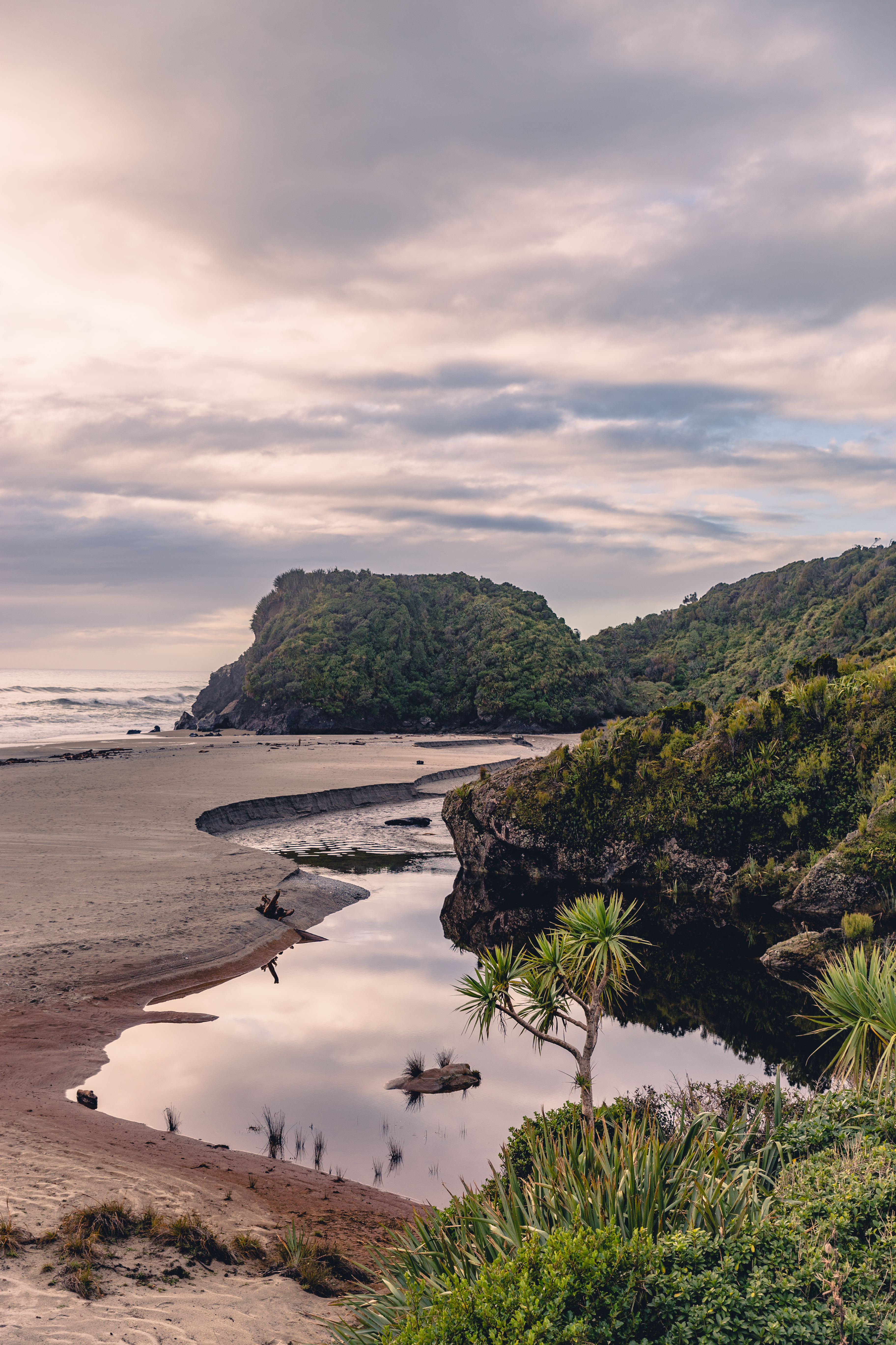 Ship Creek, West Coast