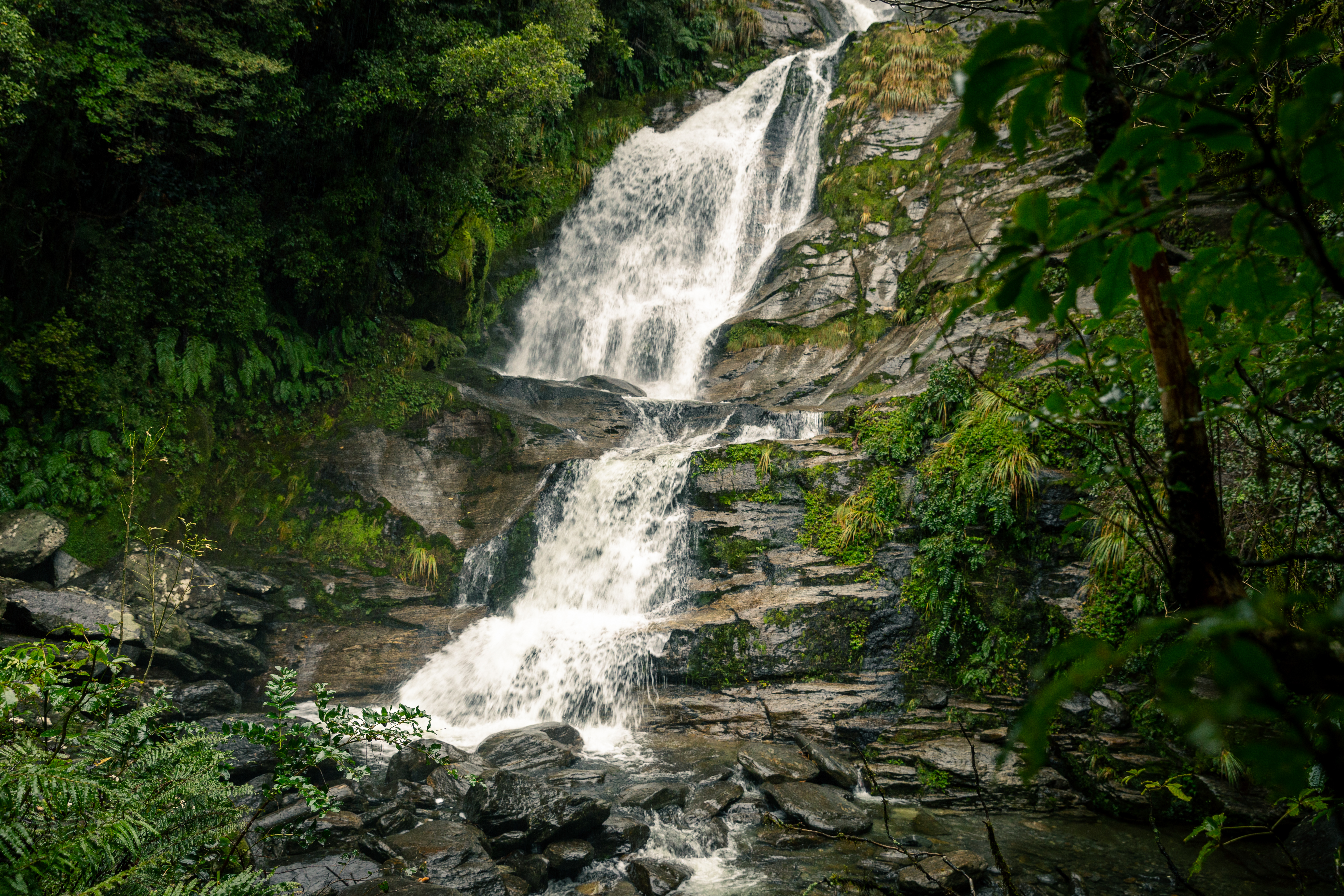 Depot Creek Falls, Haast