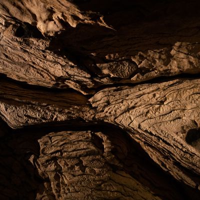 Underworld, Waitomo