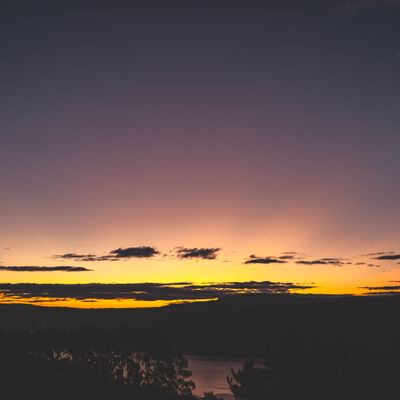 Evening Rays, Dunedin